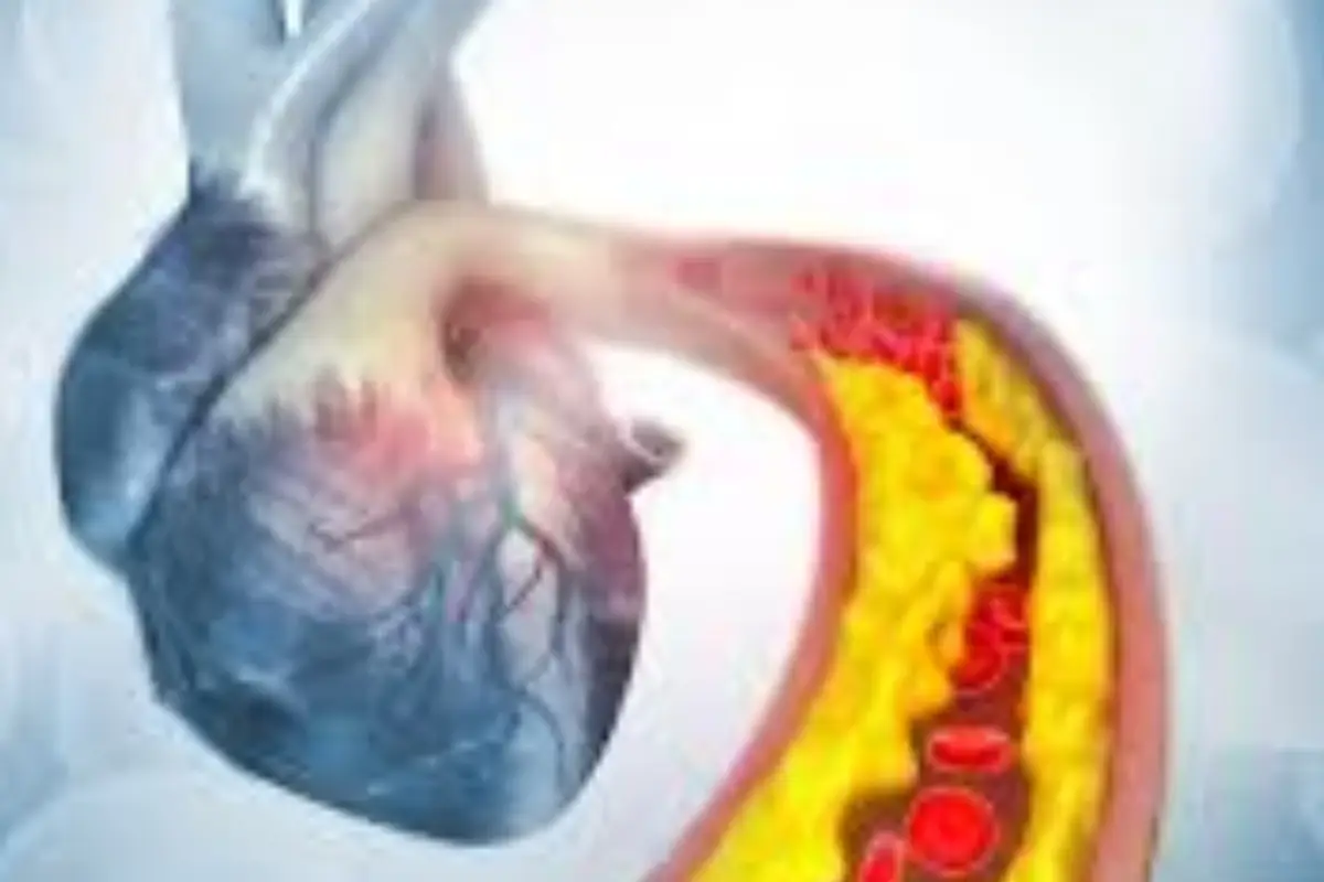 La bevanda consigliata dai medici per vivere più a lungo e proteggere il cuore