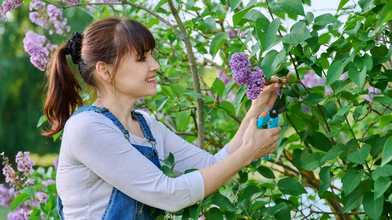 L’errore che fanno tutti parlando del lavoro di giardiniere al femminile