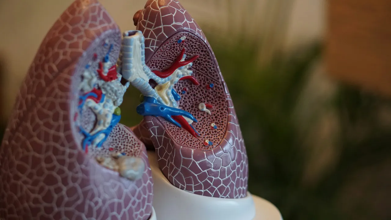 Allarme salute polmonare: ecco il test che può salvarti la vita dagli attacchi silenziosi