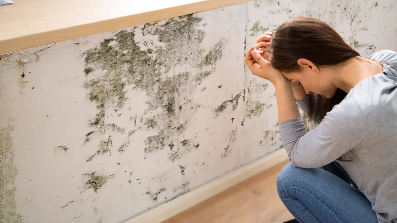 Umidità che sale dal pavimento? Ecco le cause nascoste e i rimedi efficaci