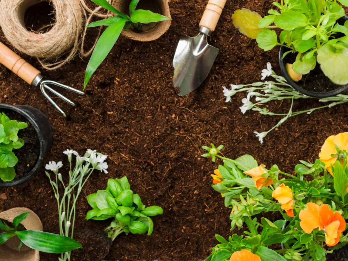 Usi questo tessuto per le piante? attento a cosa succede alla terra e alle radici