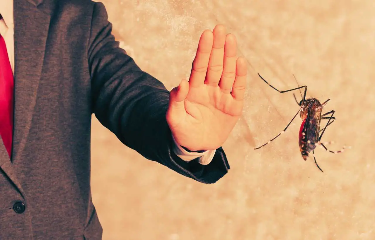 Non comprare zampironi: ecco le piante che allontanano le zanzare più efficacemente