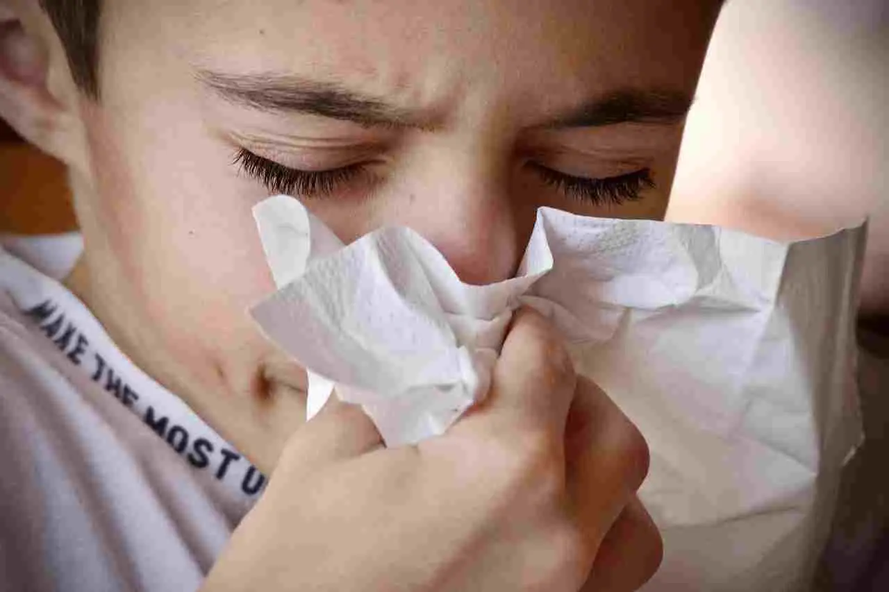 Quali sono i sintomi di un’allergia agli acari della polvere? La rinite e gli starnuti autunnali
