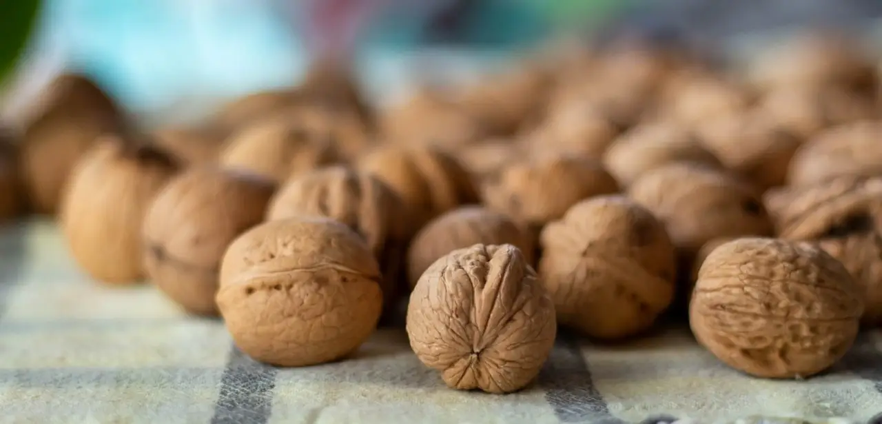 Come si raccolgono e si conservano le noci e le nocciole? Il metodo per non farle ammuffire