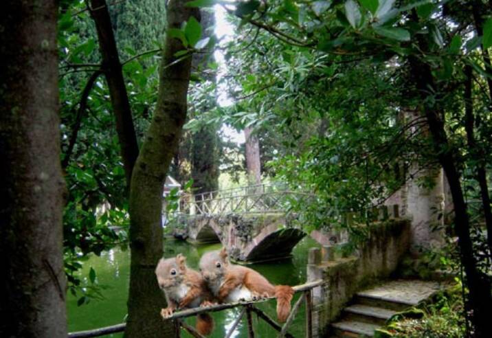 PGV Camilliani Roma